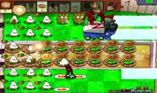 雪橇区攻略 雪橇区攻略