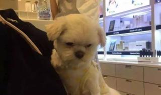 美图秀秀p图 美图秀秀p图